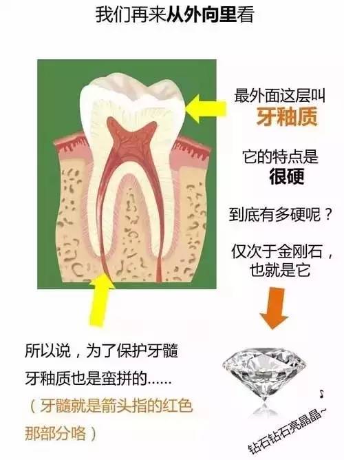 僅次於金剛石嘅牙釉質竟然被牙刷折磨到咁樣嘅地步，難道你用咗洪荒之力？