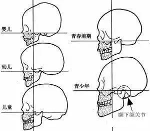 兒童青少年牙齒健康四大誤區