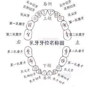 同樣係根管治療，點解我嘅比別人貴咁多呢？