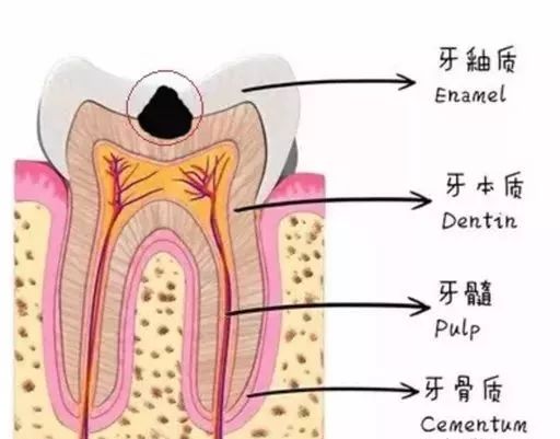 小洞唔補，大洞喫苦！早補早健康！